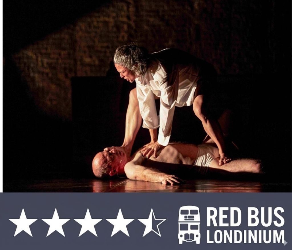 Teaċ Daṁsa, How To Be A Dancer in Seventy-two Thousand Easy Lessons. Sadlers Wells review. Image Credit Fiona Morgan